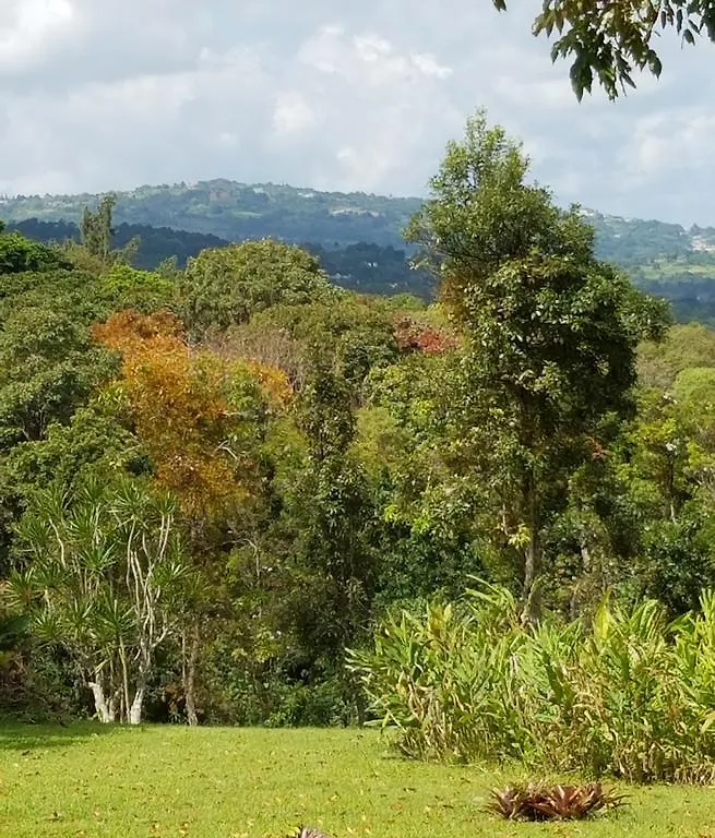 ריו גראנדה Villa Hermosa En El Yunque ריו גראנדה