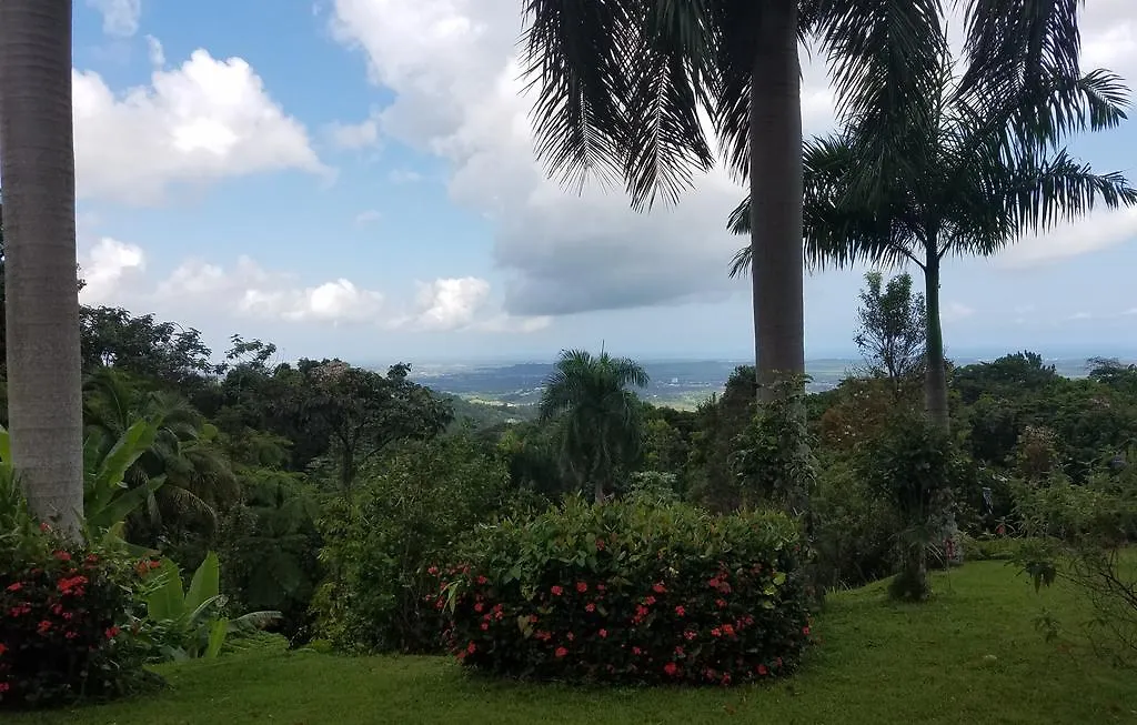 ריו גראנדה Villa Hermosa En El Yunque