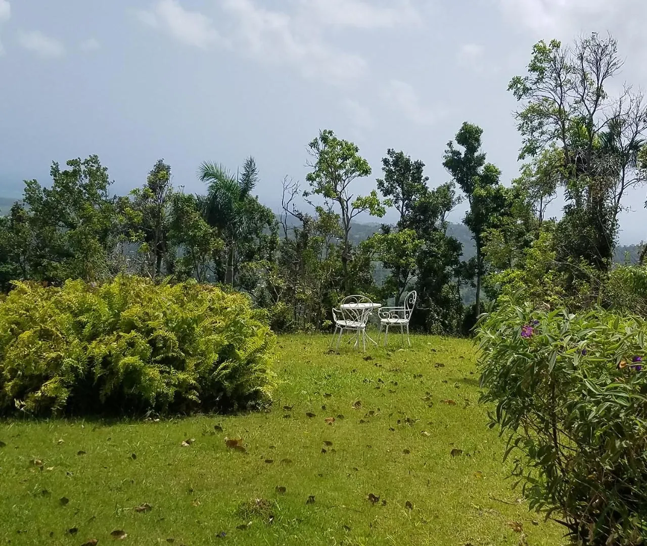 ריו גראנדה Villa Hermosa En El Yunque ריו גראנדה