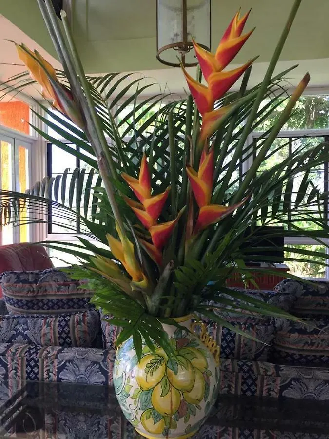ריו גראנדה Villa Hermosa En El Yunque פוארטו ריקו